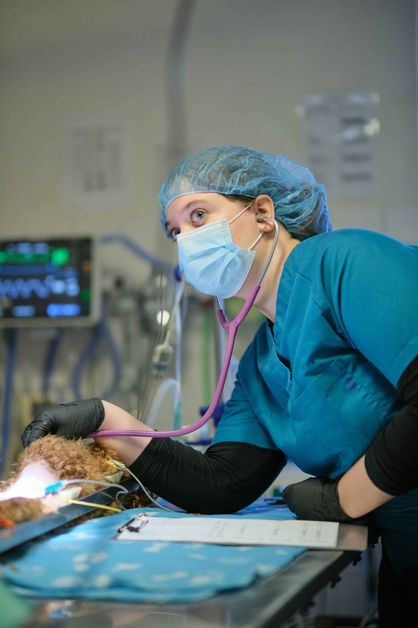 DSF3470Dierenartsenpraktijk Beijum 1 (1)