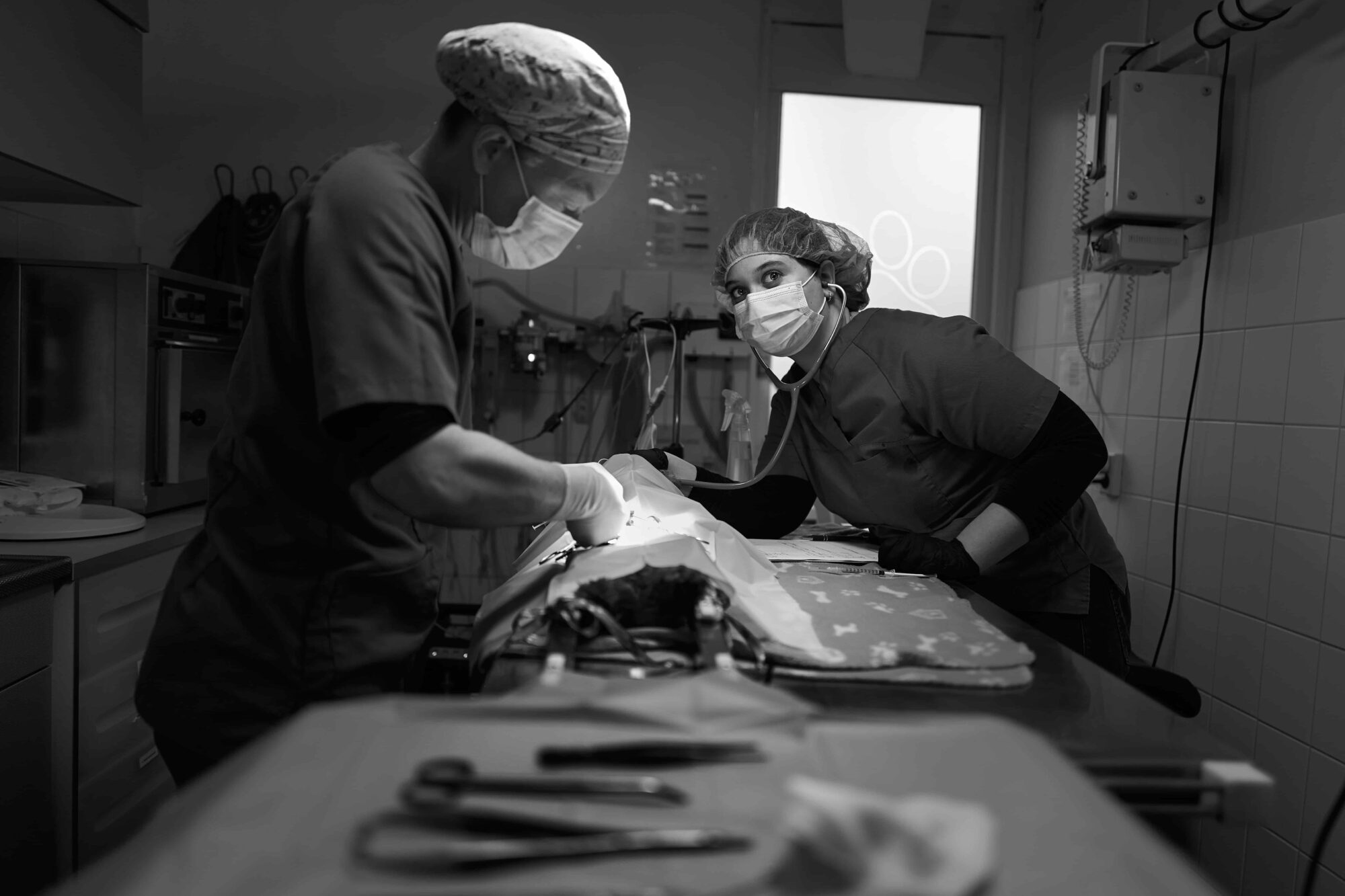 L1140011Dierenartsenpraktijk Beijum (1)