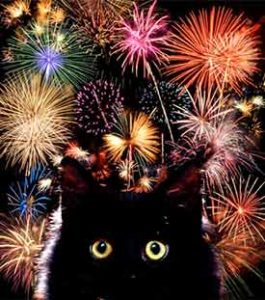 firework-cat