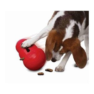 kong-wobbler-voor-de-hond